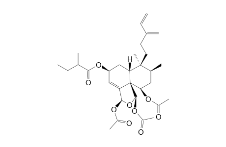 CASEARLUCIN-D;REL-(2S,5R,6R,8S,9S,10R,18S,19R)-6,18,19-TRIACETOXY-18,19-EPOXY-2-(2-XI-METHYLBUTANOYLOXY)-CLERODA-3,13(16),14-TRIENE