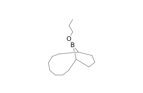 13-BORABICYCLO[7.3.0]TRIDECAN, 13-PROPOXY-, cis- or trans-