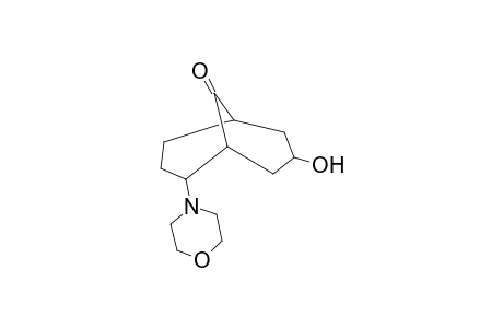 9-Bicyclo[3.3.1]nonanone, 2-(morpholin-4-yl)-7-hydroxy-