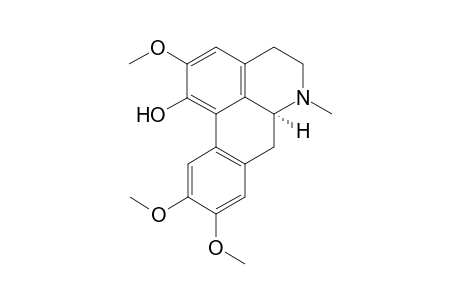 Thaliporphine