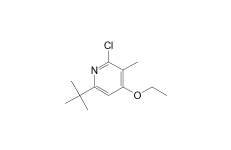 6-tert-Butyl-2-chloro-4-ethoxy-3-methyl-pyridine
