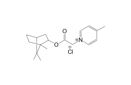 4-methyl-1-{2-oxo-2-[(1,7,7-trimethylbicyclo[2.2.1]hept-2-yl)oxy]ethyl}pyridinium chloride