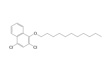 2,4-Dichloronaphth-1-yl undecyl ether