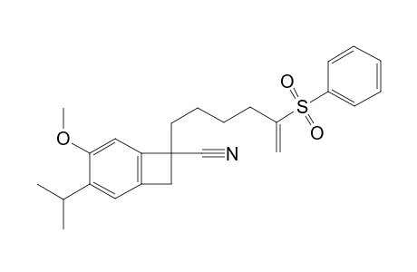 4-Isopropyl-5-methoxy-1-(5-phenylsulfonylhex-5-enyl)-1,2-dihydrobenzocyclobutene-1-carbonitrile