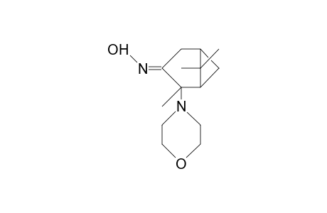 2,3-Dihydro-3-hydroxyimino-2-morpholino.alpha.-pinene