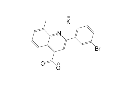 potassium 2-(3-bromophenyl)-8-methyl-4-quinolinecarboxylate