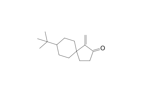 8-tert-Butyl-4-methylene-3-spiro[4.5]decanone
