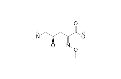 (Z)-(4R)-5-AMINO-4-HYDROXY-2-(METHOXYIMINO)-PENTANOIC-ACID