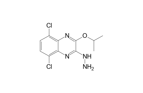 5,8-Dichloro-2-hydrazino-3-isopropoxyquinoxalin