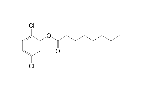 Octanoic acid, 2,5-dichlorophenyl ester