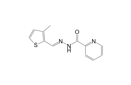 2-pyridinecarboxylic acid, 2-[(E)-(3-methyl-2-thienyl)methylidene]hydrazide