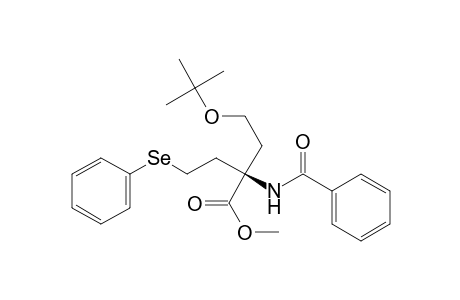 (2R)-2-benzamido-2-(2-tert-butoxyethyl)-4-(phenylseleno)butyric acid methyl ester