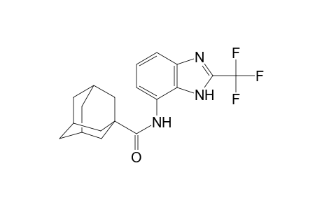 N-[2-(trifluoromethyl)-1H-benzimidazol-4-yl]-1-adamantanecarboxamide