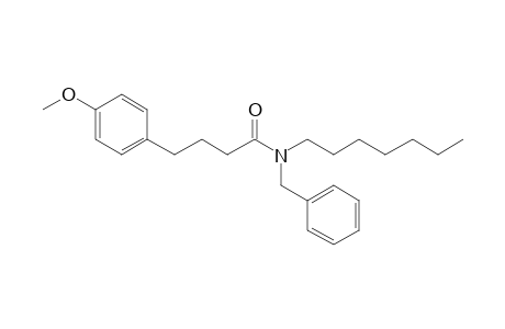 Butyramide, 4-(4-methoxyphenyl)-N-benzyl-N-heptyl-