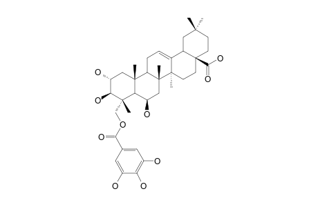 23-GALLOYLTERMINOLIC-ACID