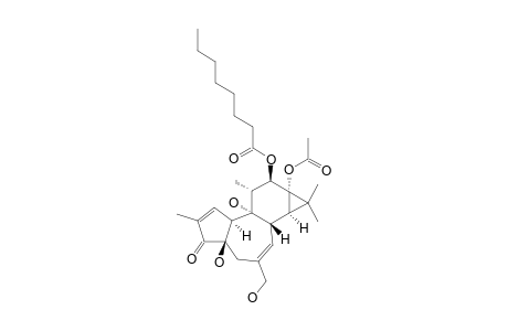 12-O-OCTANOYLPHORBOL-13-ACETATE