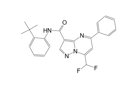 N-(2-tert-butylphenyl)-7-(difluoromethyl)-5-phenylpyrazolo[1,5-a]pyrimidine-3-carboxamide