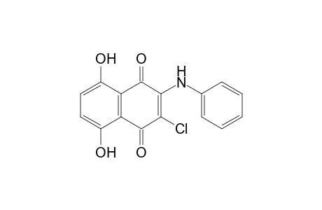 2-Anilino-3-chloro-5,8-dihydroxy-1,4-naphthoquinone