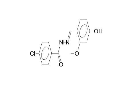 (E)-N-(4-chlorobenzoyl)-N'-(2-methoxy-4-hydroxybenzylidene)hydrazine