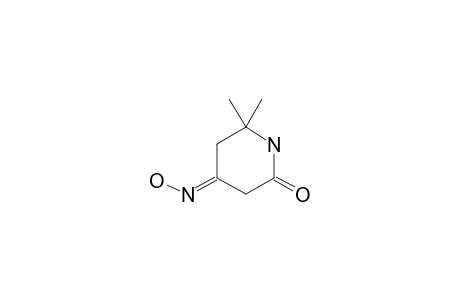 4-HYDROXIMINO-6,6-DIMETHYLPIPERIDIN-2-ONE;MINOR-CONSTITUENT