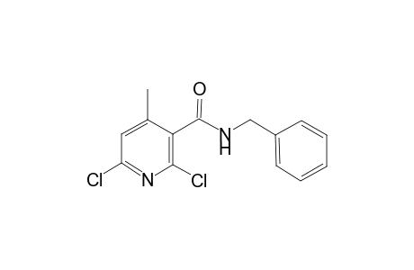 N-Benzyl-2,6-dichloro-4-methyl-nicotinamide