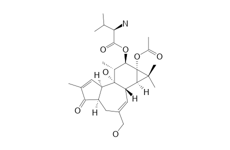 12-(R-VALINOYL)-13-ACETYL-4-ALPHA-4-DEOXYPHORBOL