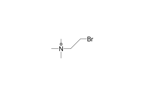 N,N,N-Trimethyl-2-bromo-ethylammonium cation