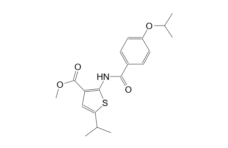 methyl 2-[(4-isopropoxybenzoyl)amino]-5-isopropyl-3-thiophenecarboxylate