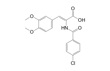 alpha-(4-Chlorobenzamido)-3,4-dimethoxycinnamic acid