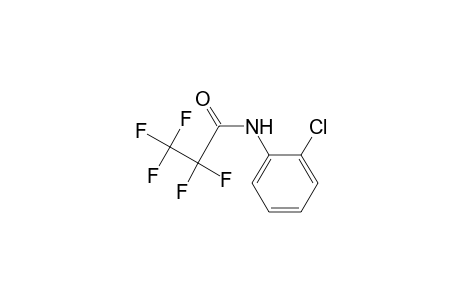 N-(2-chlorophenyl)-2,2,3,3,3-pentafluoro-propanamide