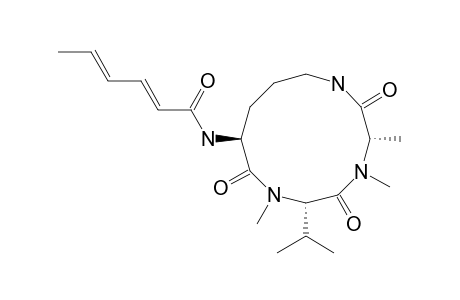 SCLEROTIOTIDE_B;(2-E,4-E)-CYCLO-[(N-ME-L-ALA)-(N-ME-L-VAL)-(N-ALPHA-OCTA-2,4,6-TRIENOYL-L-ORN)]