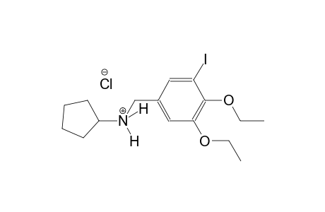 N-(3,4-diethoxy-5-iodobenzyl)cyclopentanaminium chloride