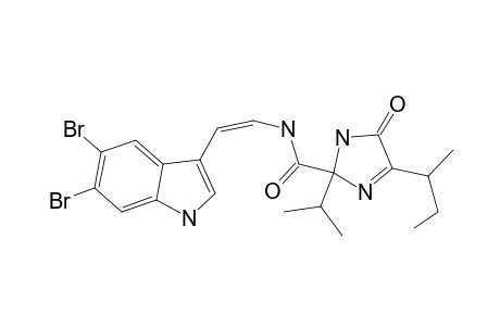 Kottamide A