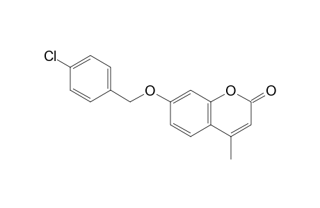 7-(4-Chlorobenzyl)oxy-4-methyl-coumarin