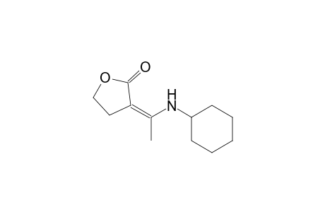 (3Z)-3-[1-(cyclohexylamino)ethylidene]-2-oxolanone
