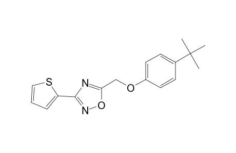 5-[(4-tert-butylphenoxy)methyl]-3-(2-thienyl)-1,2,4-oxadiazole