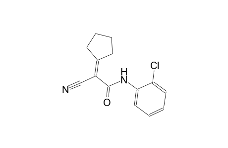 N-(2-Chlorophenyl)-2-cyano-2-cyclopentylideneacetamide