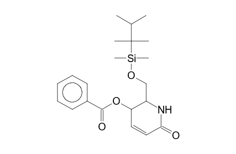 2-(([Dimethyl(1,1,2-trimethylpropyl)silyl]oxy)methyl)-6-oxo-1,2,3,6-tetrahydro-3-pyridinyl benzoate