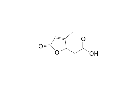 2-(3-Methyl-5-oxidanylidene-2H-furan-2-yl)ethanoic acid