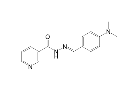 nicotinic acid, [p-(dimethylamino)benzylidene]hydrazide
