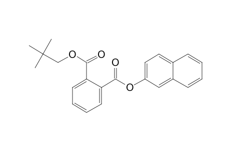 Phthalic acid, 2-naphthyl neopentyl ester