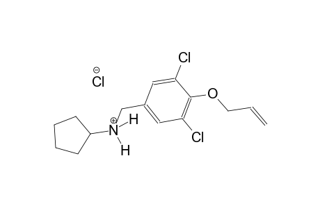 N-[4-(allyloxy)-3,5-dichlorobenzyl]cyclopentanaminium chloride