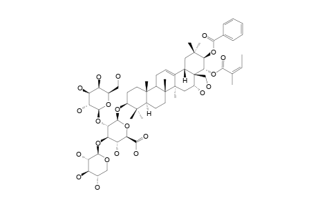 ACUTANGULOSIDE-E;3-O-BETA-D-XYLOPYRANOSYL-(1->3)-[BETA-D-GALACTOPYRANOSYL-(1->2)]-BETA-D-GLUCURONOPYRANOSYL-21-O-BENZOYL-22-O-TIGLOYL-BARRINGT