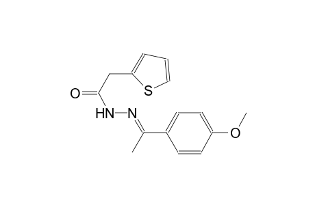 N'-[(E)-1-(4-methoxyphenyl)ethylidene]-2-(2-thienyl)acetohydrazide