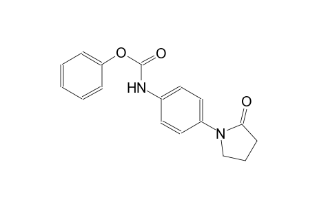 carbamic acid, [4-(2-oxo-1-pyrrolidinyl)phenyl]-, phenyl ester