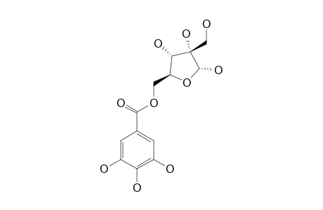 5-ALPHA-O-GALLOYLHAMAMELOSE