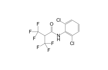 propanamide, N-(2,6-dichlorophenyl)-3,3,3-trifluoro-2-(trifluoromethyl)-