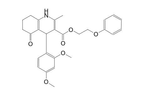 2-phenoxyethyl 4-(2,4-dimethoxyphenyl)-2-methyl-5-oxo-1,4,5,6,7,8-hexahydro-3-quinolinecarboxylate