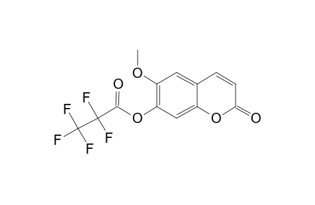 Scopoletin, o-pentafluoropropionyl-