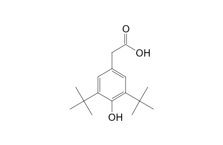 3,5-Di-tert-butyl-4-hydroxyphenylacetic acid